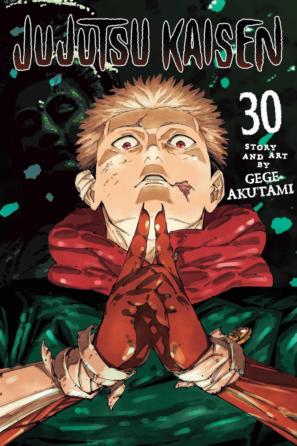 Cover of Jujutsu Kaisen, Vol. 30