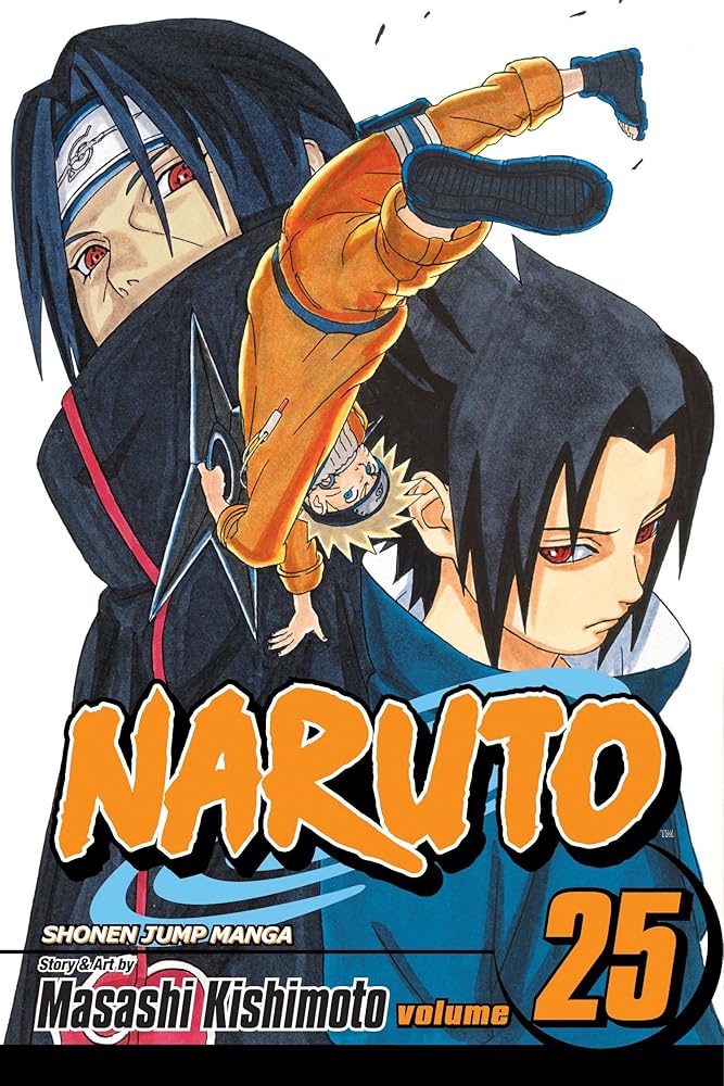Naruto, Vol. 25: Brothers cover image