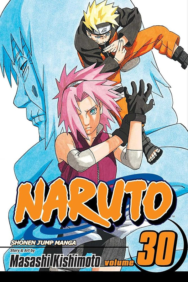 Naruto, Vol. 30: Puppet Masters cover image