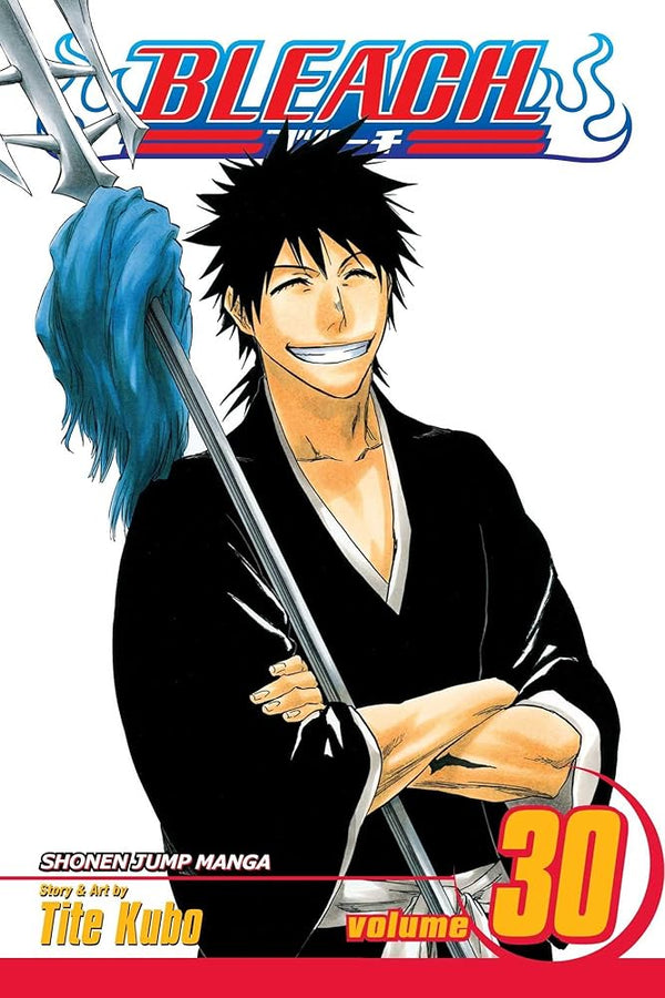 Bleach, Vol. 30 cover image