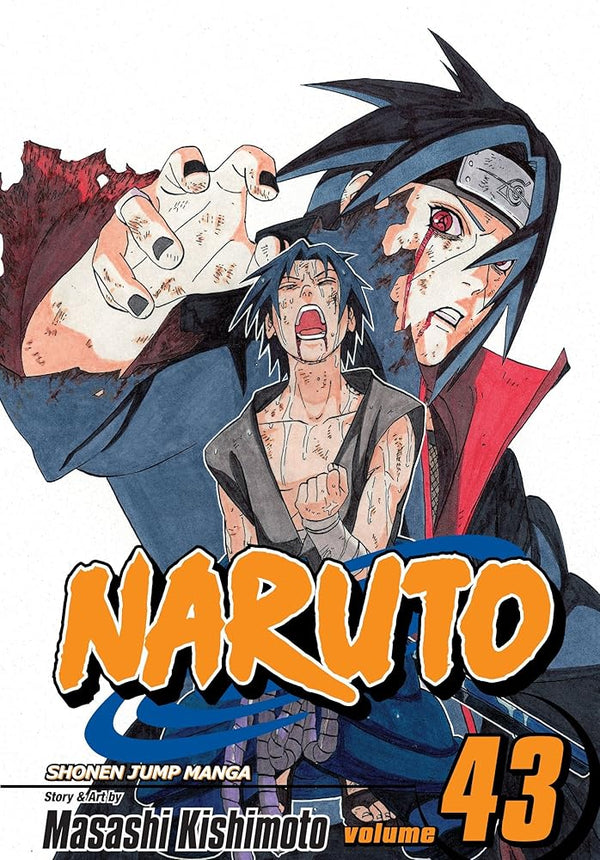 Naruto, Vol. 43: The Man with the Truth cover image