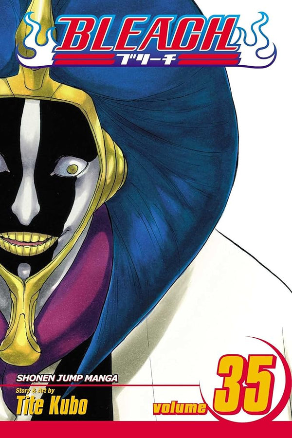 Bleach, Vol. 35 cover image