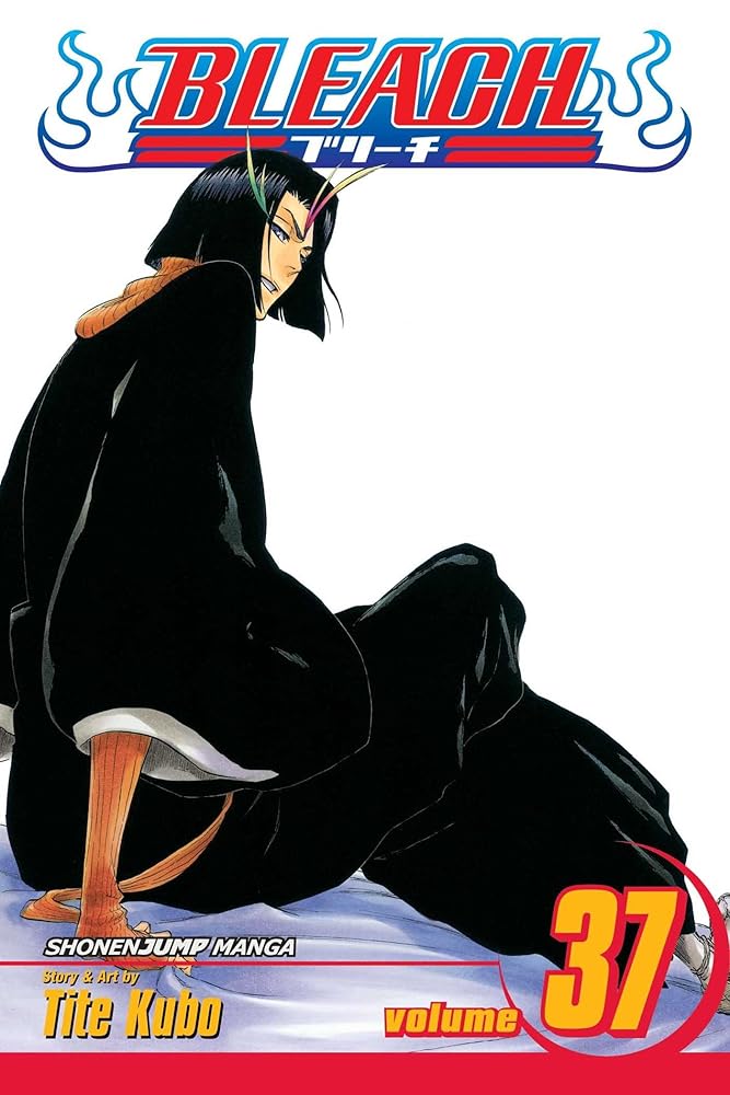 Bleach, Vol. 37 cover image