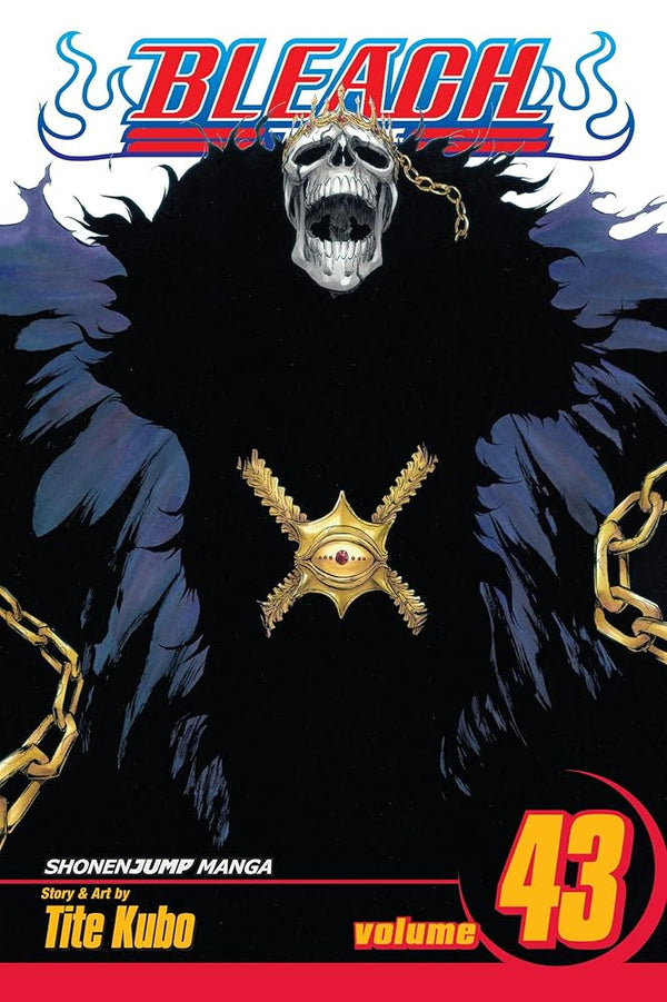 Bleach, Vol. 43 cover image
