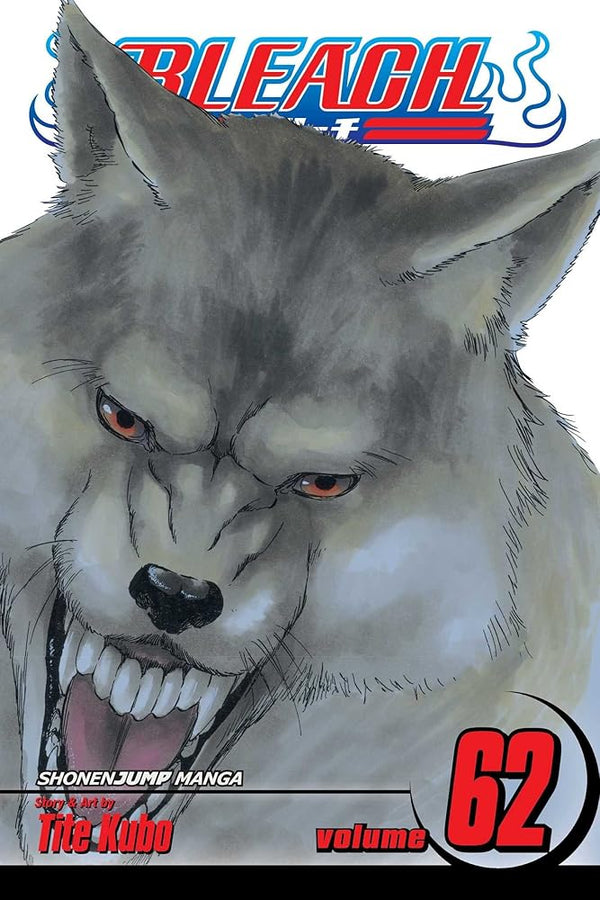 Bleach, Vol. 62 cover image