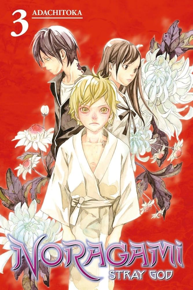 Noragami: Stray God 3 cover image