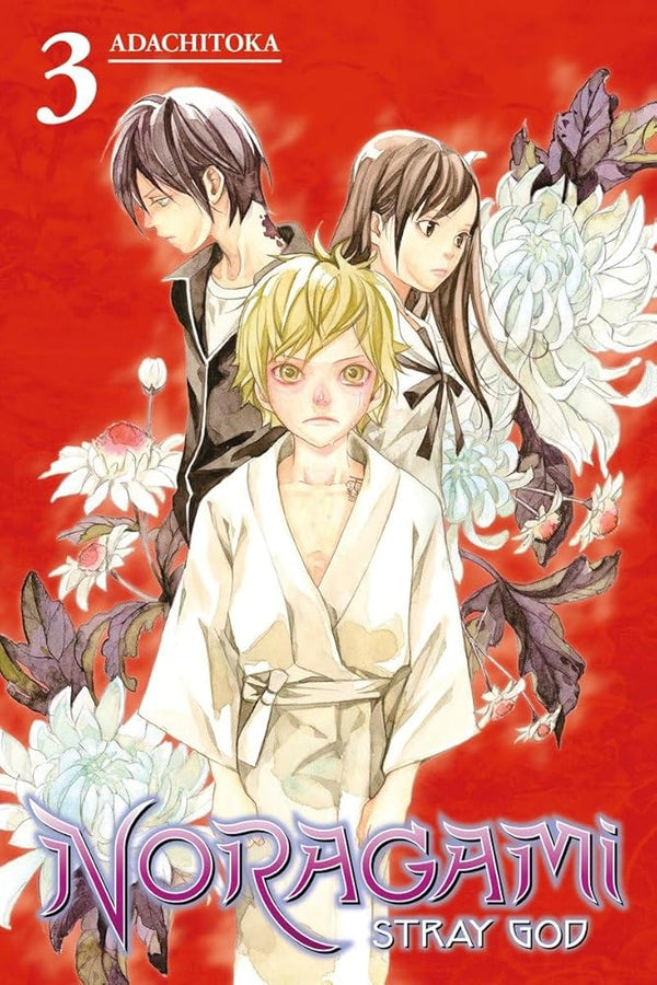 Noragami: Stray God 3 cover image