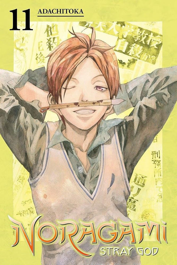 Noragami: Stray God 11 cover image