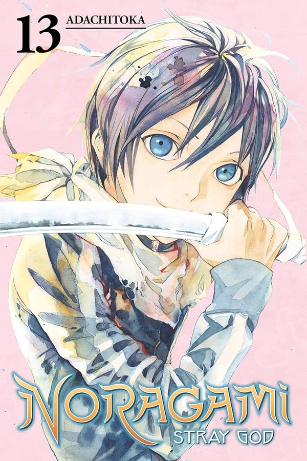 Noragami: Stray God 13 cover image