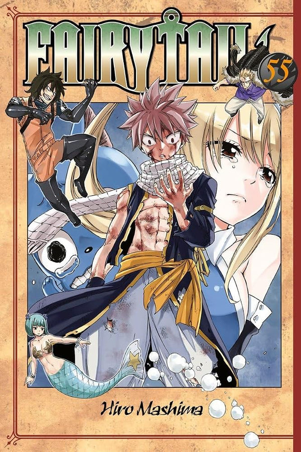 FAIRY TAIL 55 cover image
