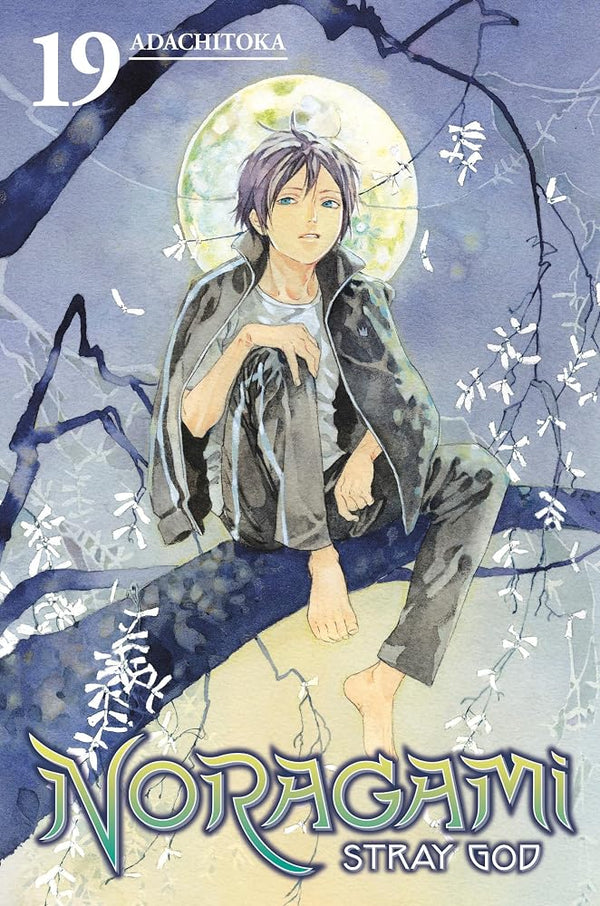 Noragami: Stray God 19 cover image