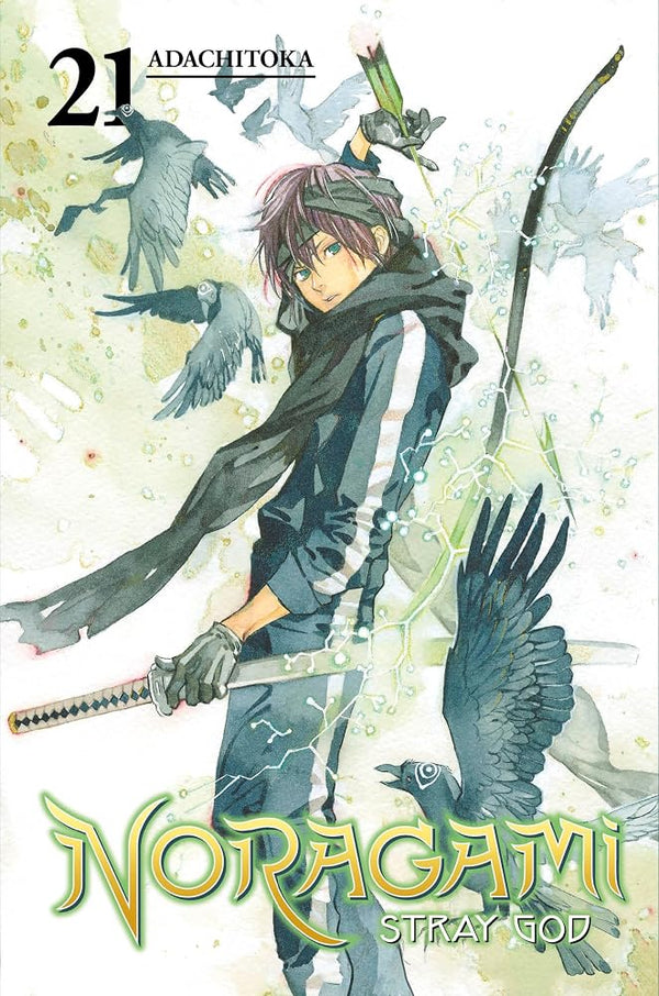 Noragami: Stray God 21 cover image