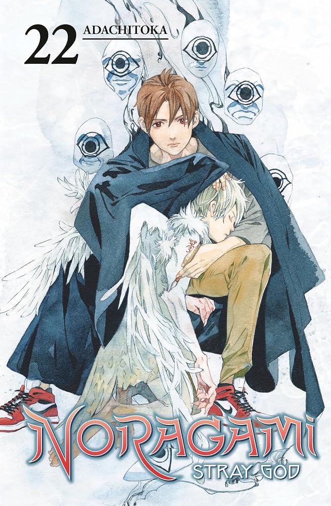 Noragami: Stray God 22 cover image