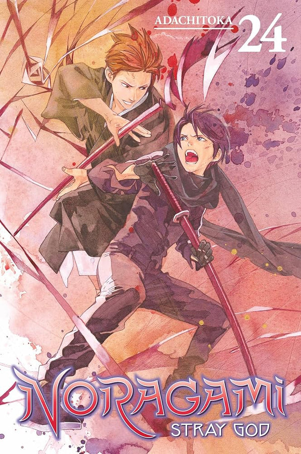 Noragami: Stray God 24 cover image