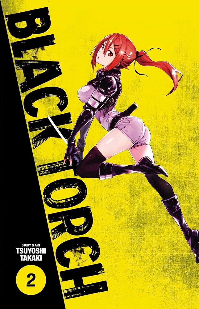 Black Torch, Vol. 2 cover image
