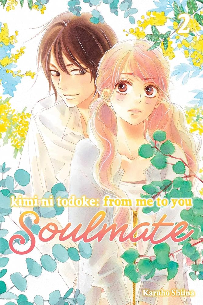 Kimi ni Todoke: From Me to You: Soulmate, Vol. 2 cover image