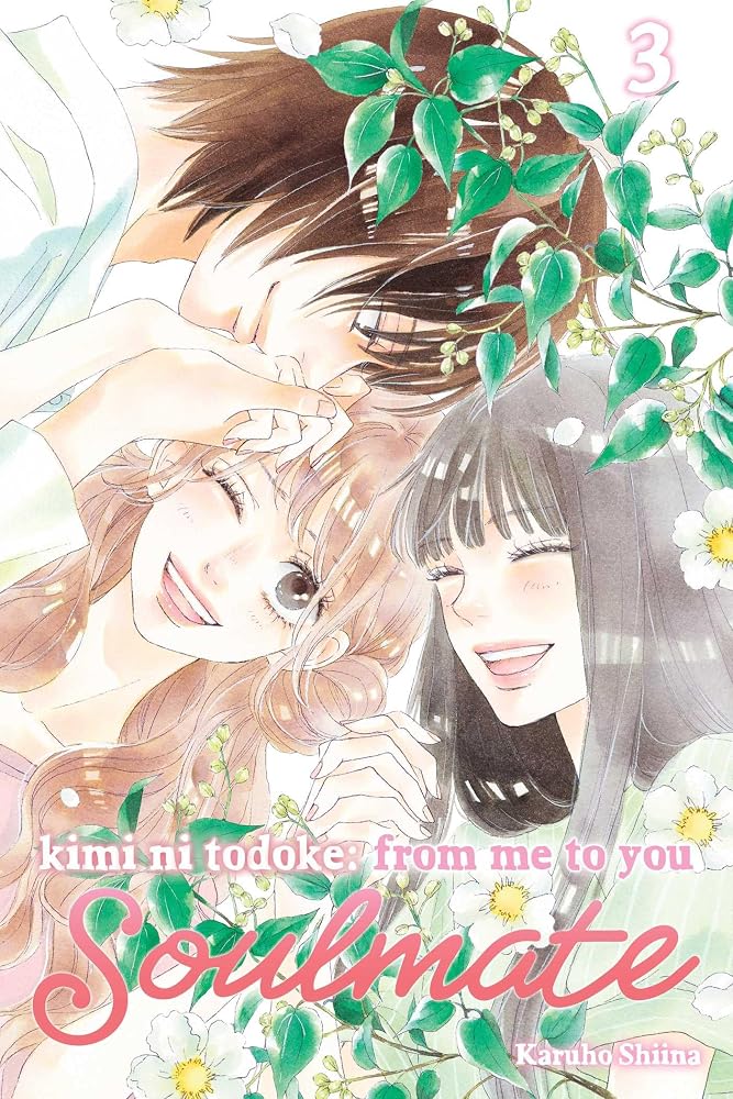 Kimi ni Todoke: From Me to You: Soulmate, Vol. 3 cover image
