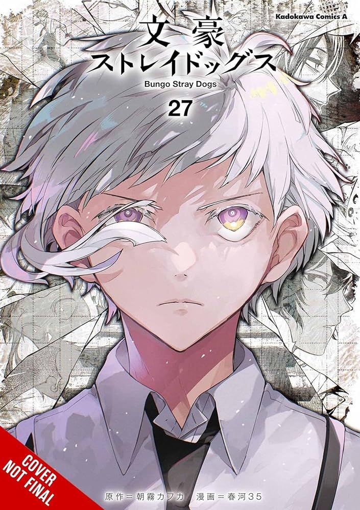 Bungo Stray Dogs, Vol. 27 (Volume 27) cover image