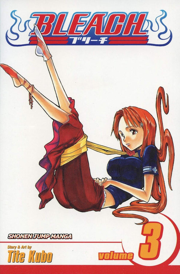 Cover of Bleach, Vol. 3
