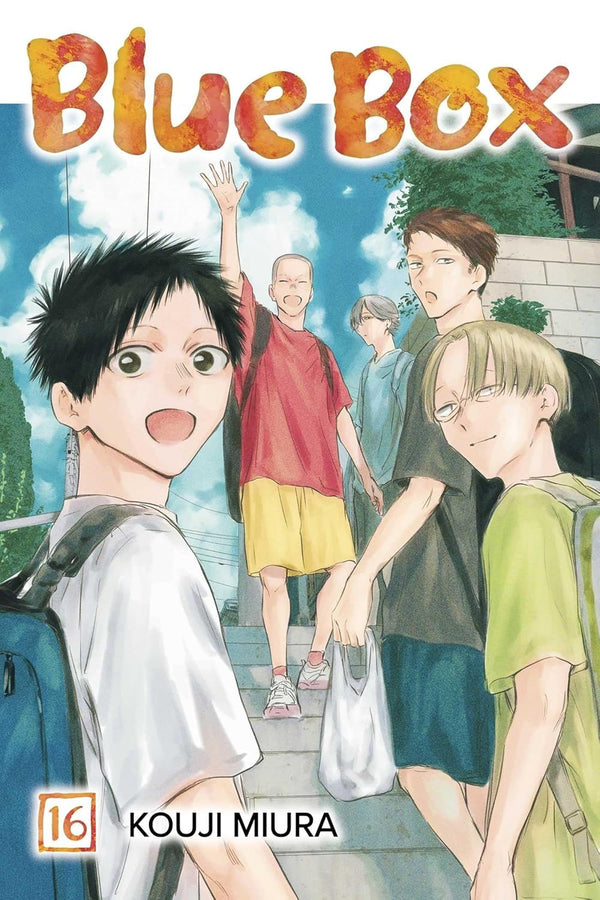 Cover of Blue Box, Vol. 16