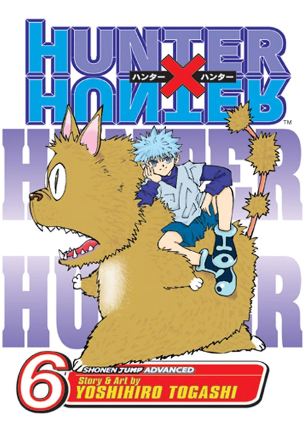Cover of Hunter x Hunter, Vol. 6: NEN SENSE