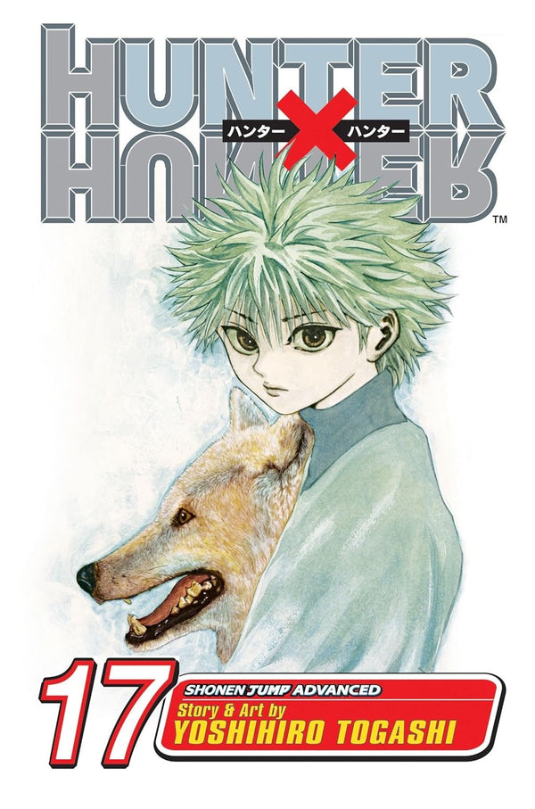 Cover of Hunter x Hunter, Vol. 17: A Fierce Three-Way Struggle