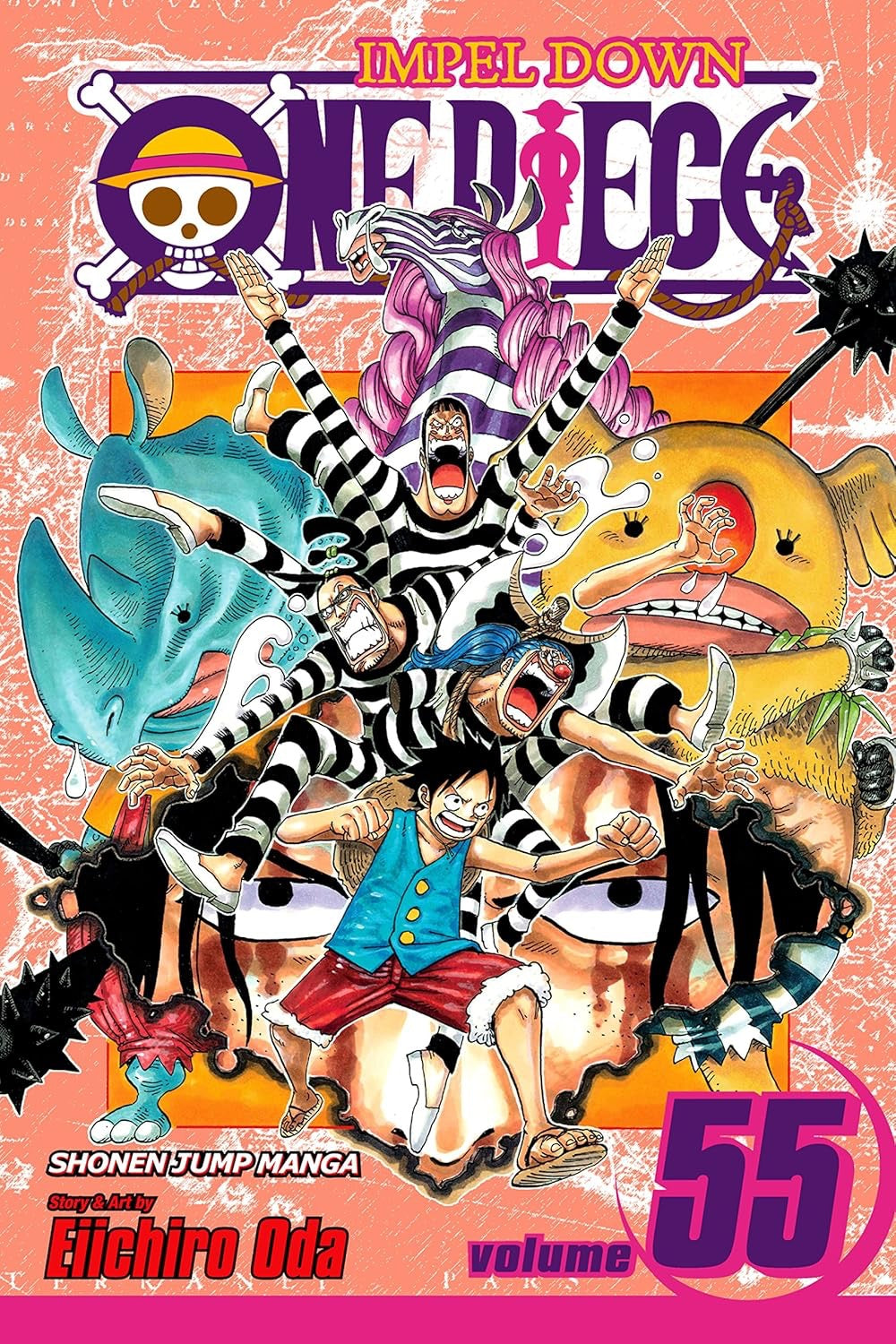 Cover of One Piece, Vol. 55: A Ray of Hope