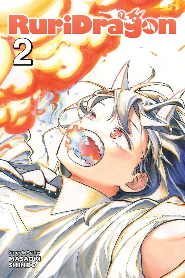Cover of RuriDragon, Vol. 2
