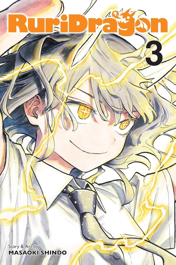 Cover of RuriDragon, Vol. 3