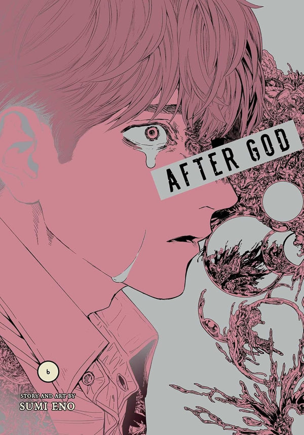 Cover of After God, Vol. 6